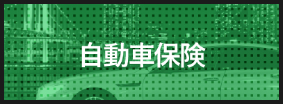 施工メニュー 自動車保険